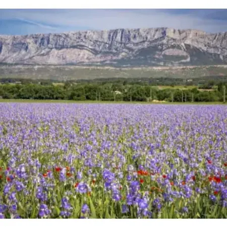 Aix-en-provence, Cosy Proche Toutes Commodites, Linges Fournis Apartment Aix-en-Provence